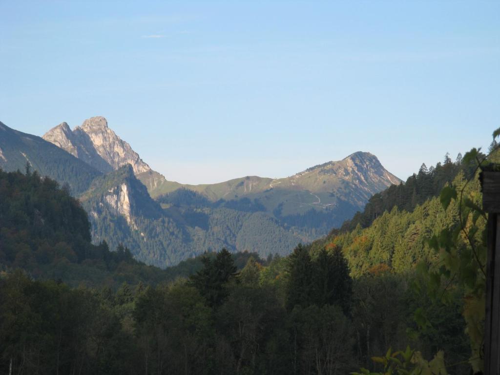 Alpenhotel Allgaeu Гоеншванґау Екстер'єр фото
